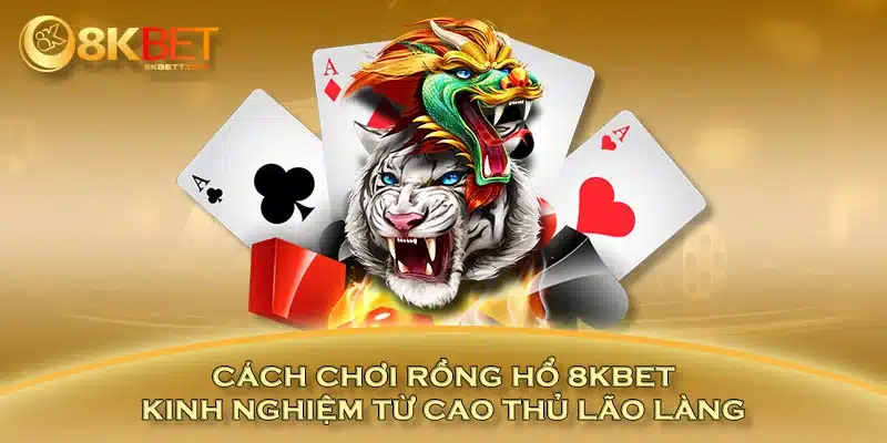 Cách Chơi Rồng Hổ 8KBET Kinh Nghiệm Từ Cao Thủ Lão Làng