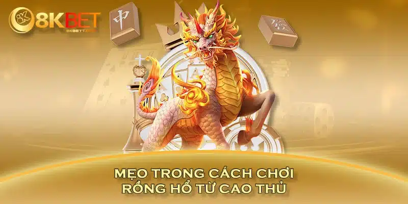 Mẹo trong cách chơi rồng hổ từ cao thủ