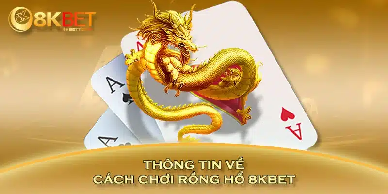 Thông tin về cách chơi rồng hổ 8KBET